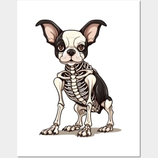 Skeleton Boston Terrier Dog Posters and Art